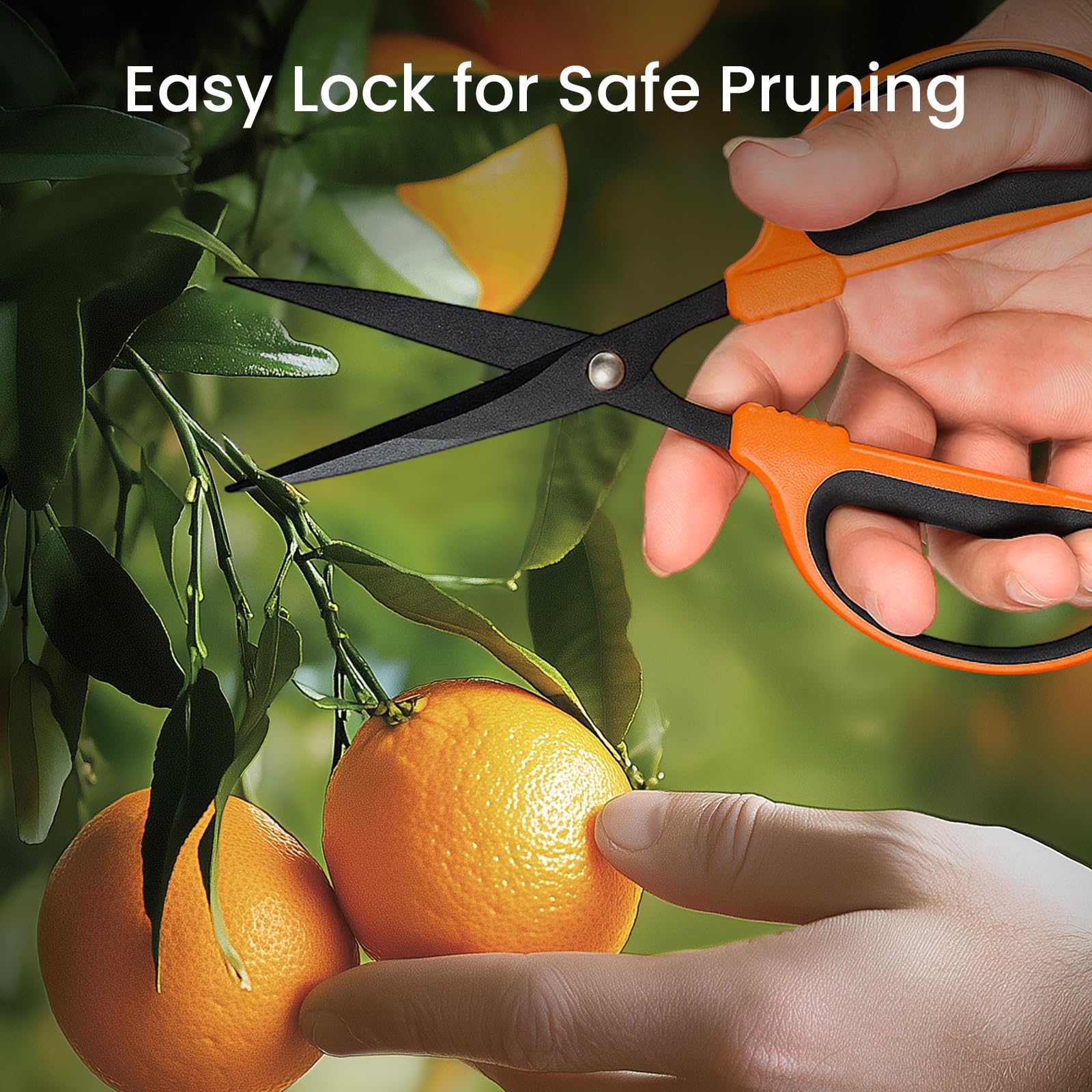 GROWNEER Trimming Scissors pack of six