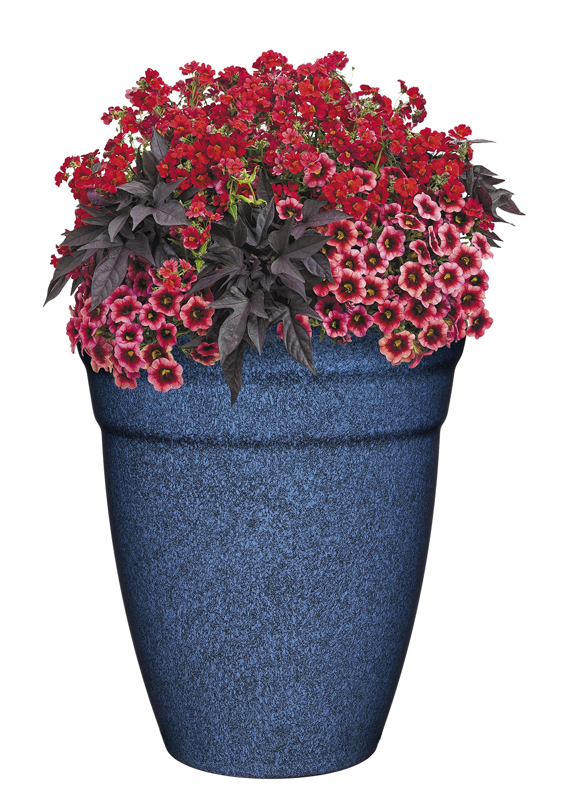 GROWSCAPE Allaire 12-inch Indigo Planter with plants