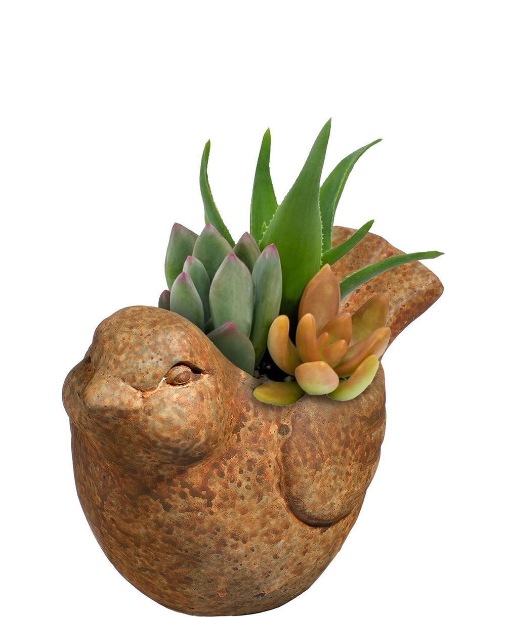 GROWSCAPE Animal Planter with removable drain plug close-up
