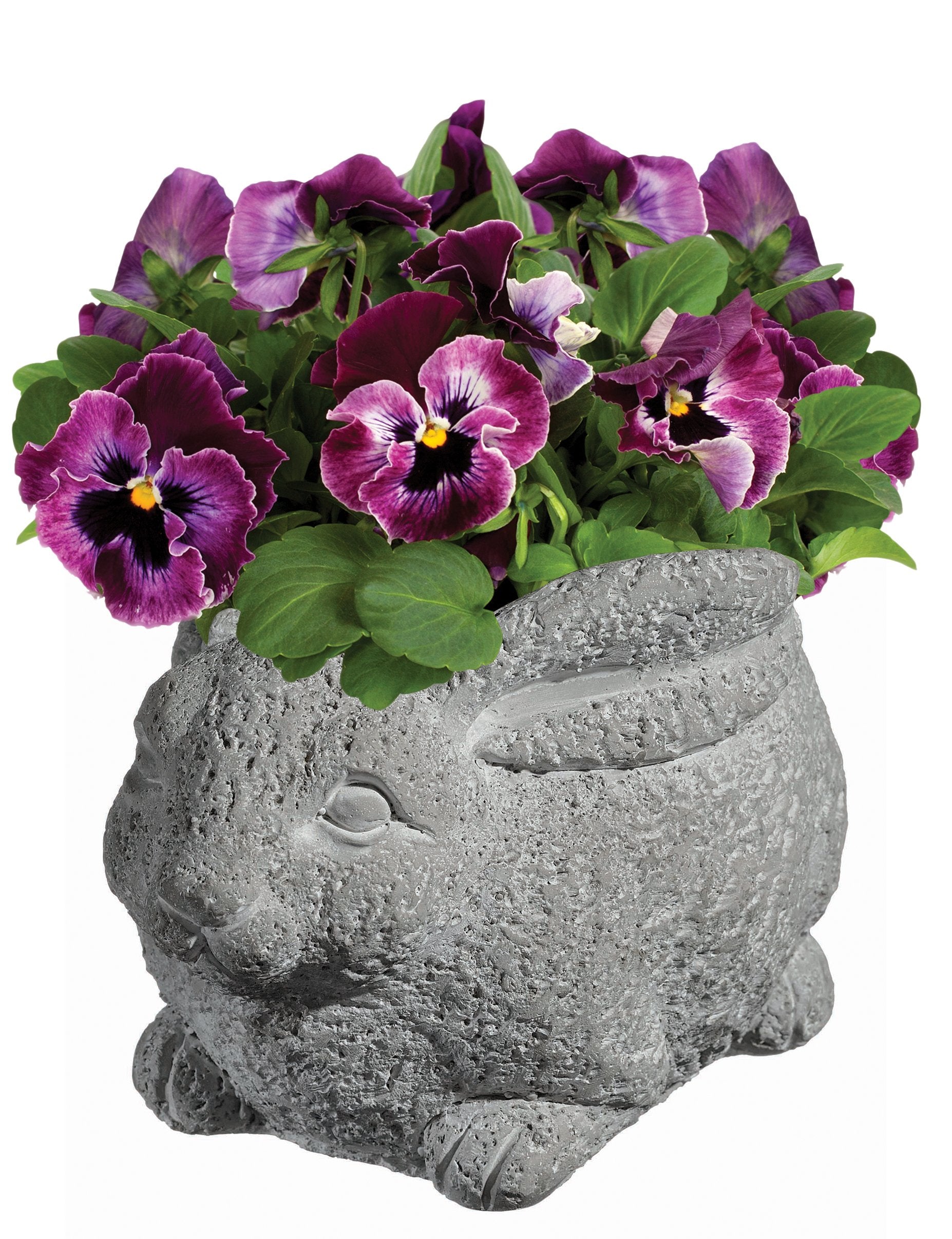 GROWSCAPE Rabbit Planter with succulent plant inside