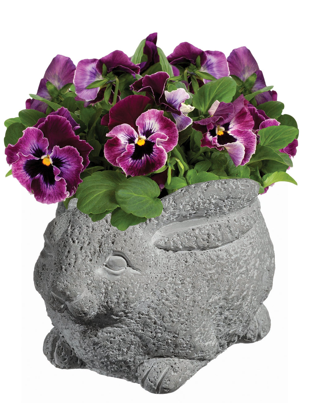 GROWSCAPE Rabbit Planter with succulent plant inside