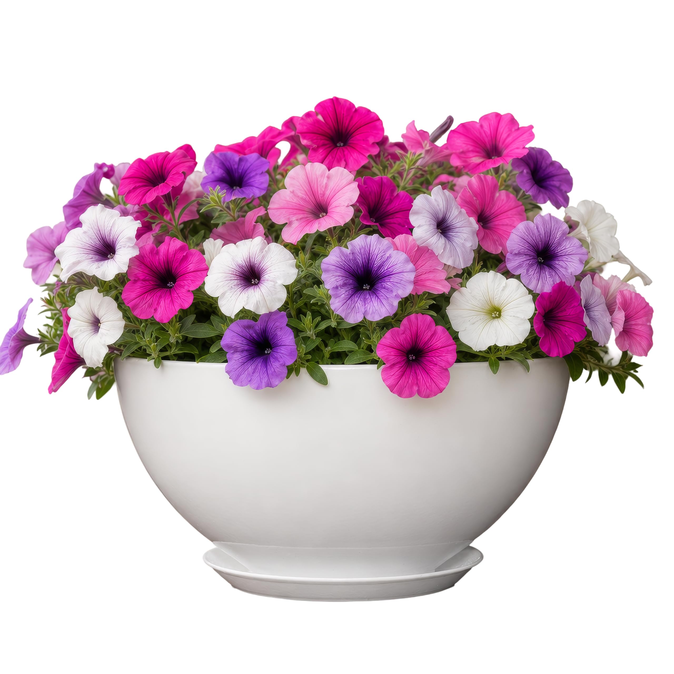 GROWSCAPE Rosie Planter Bowl front view in stark white