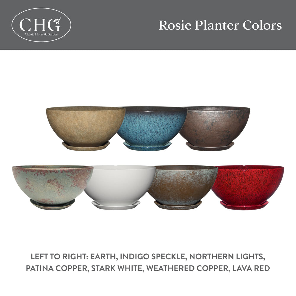 GROWSCAPE Rosie Planter Bowl packaging
