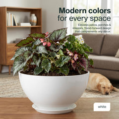 GROWSCAPE Rosie Planter Bowl with succulent plants