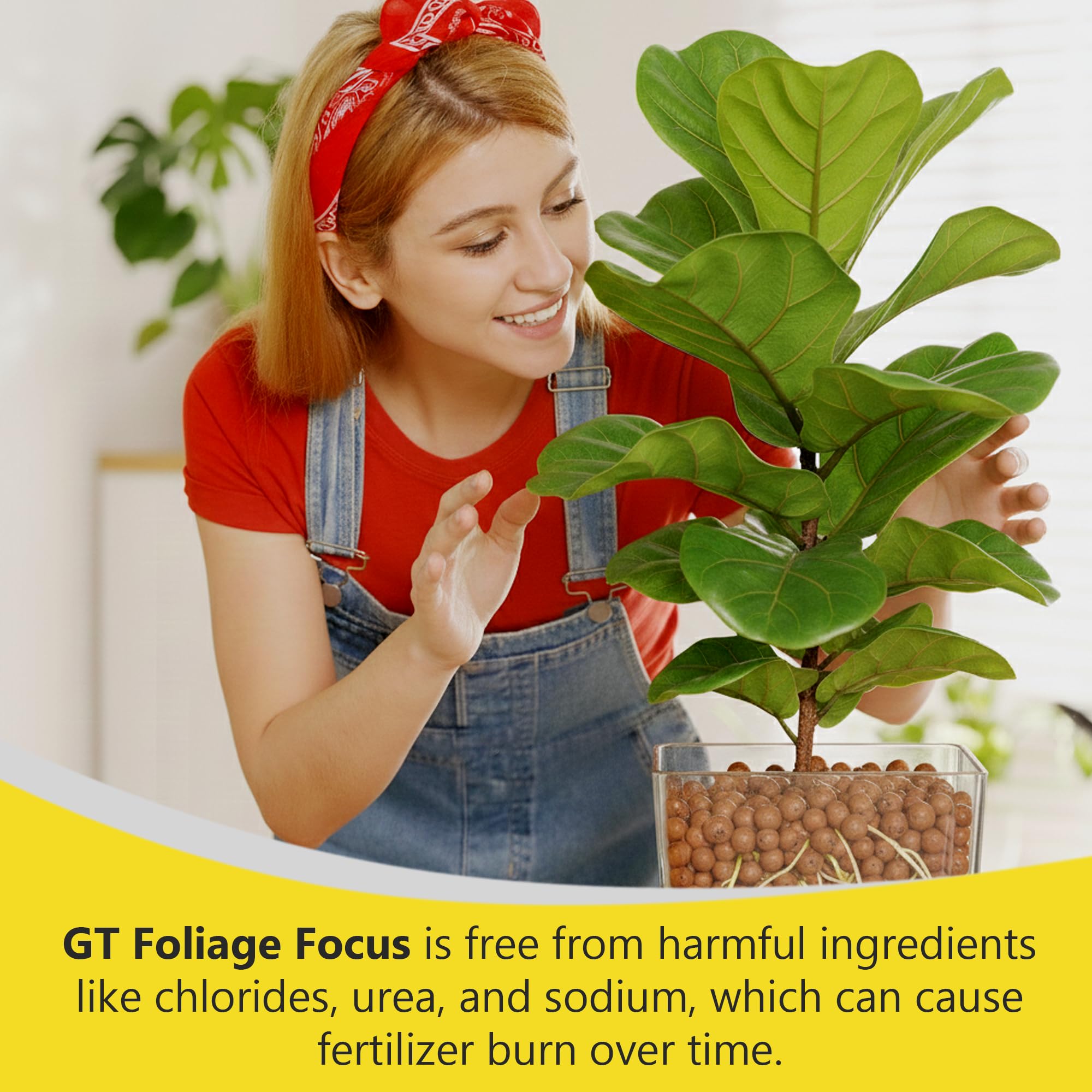 Growth Technology GT Foliage Focus liquid plant food nutrient analysis on packaging
