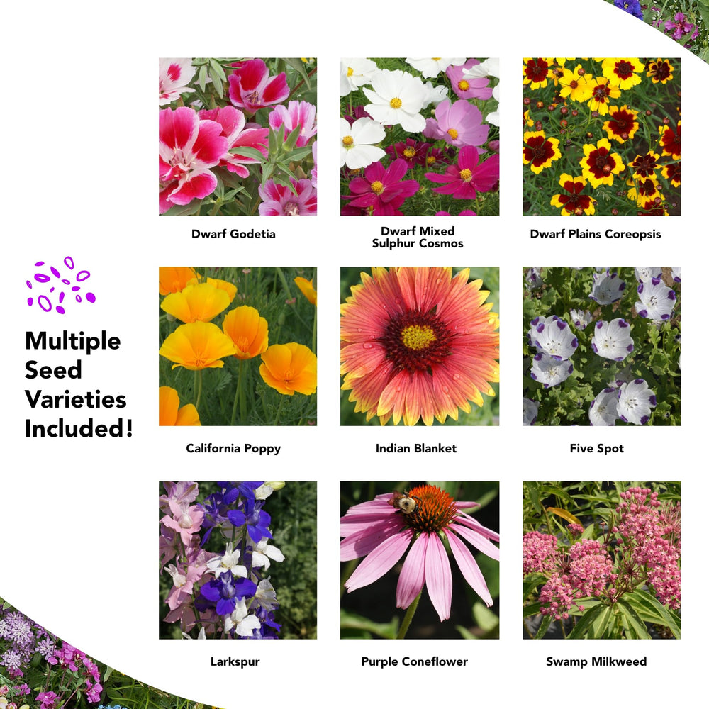 GROWTRAX seed mat in a sunny garden with blooming wildflowers