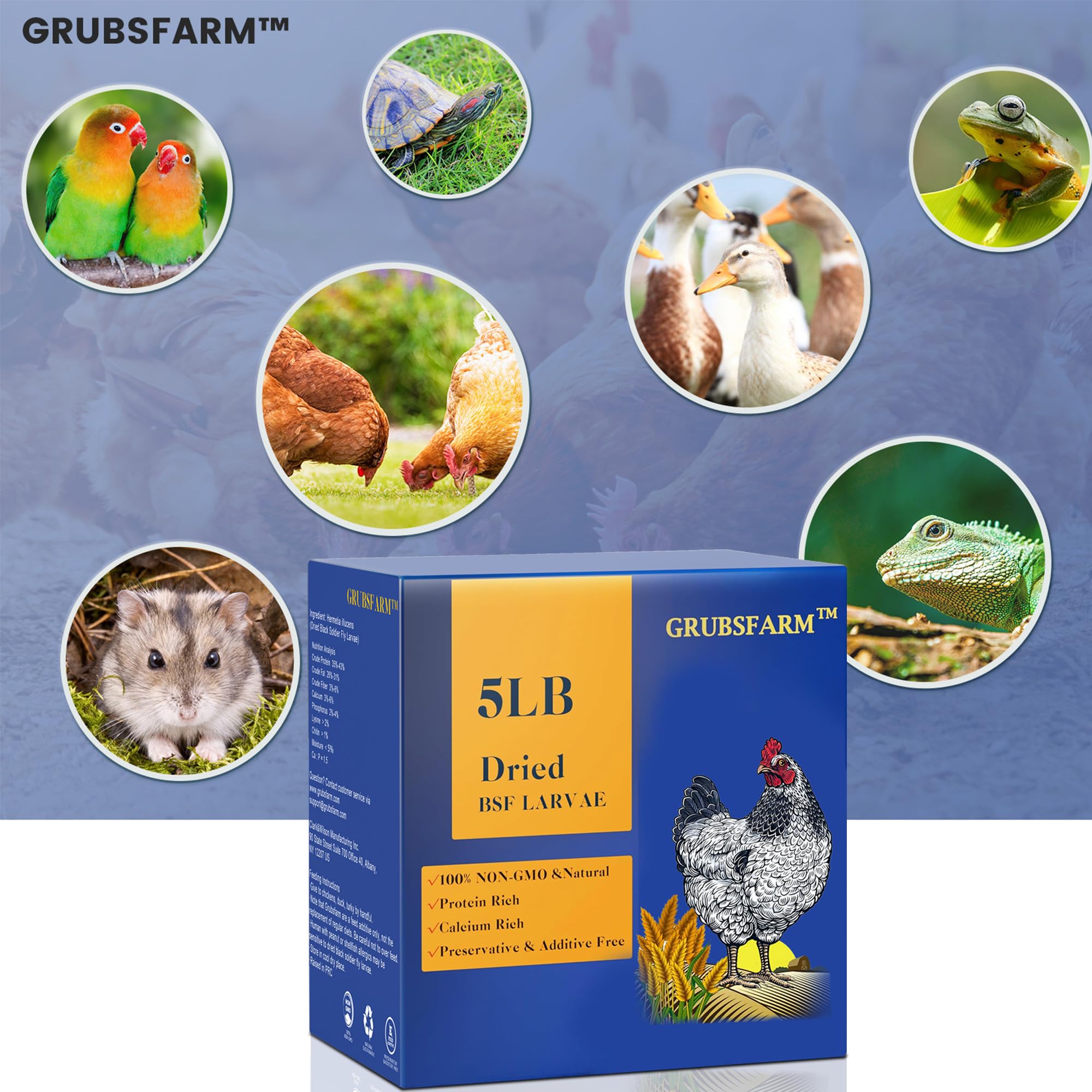 GRUBSFARM Dried Black Soldier Fly Larvae nutritional information