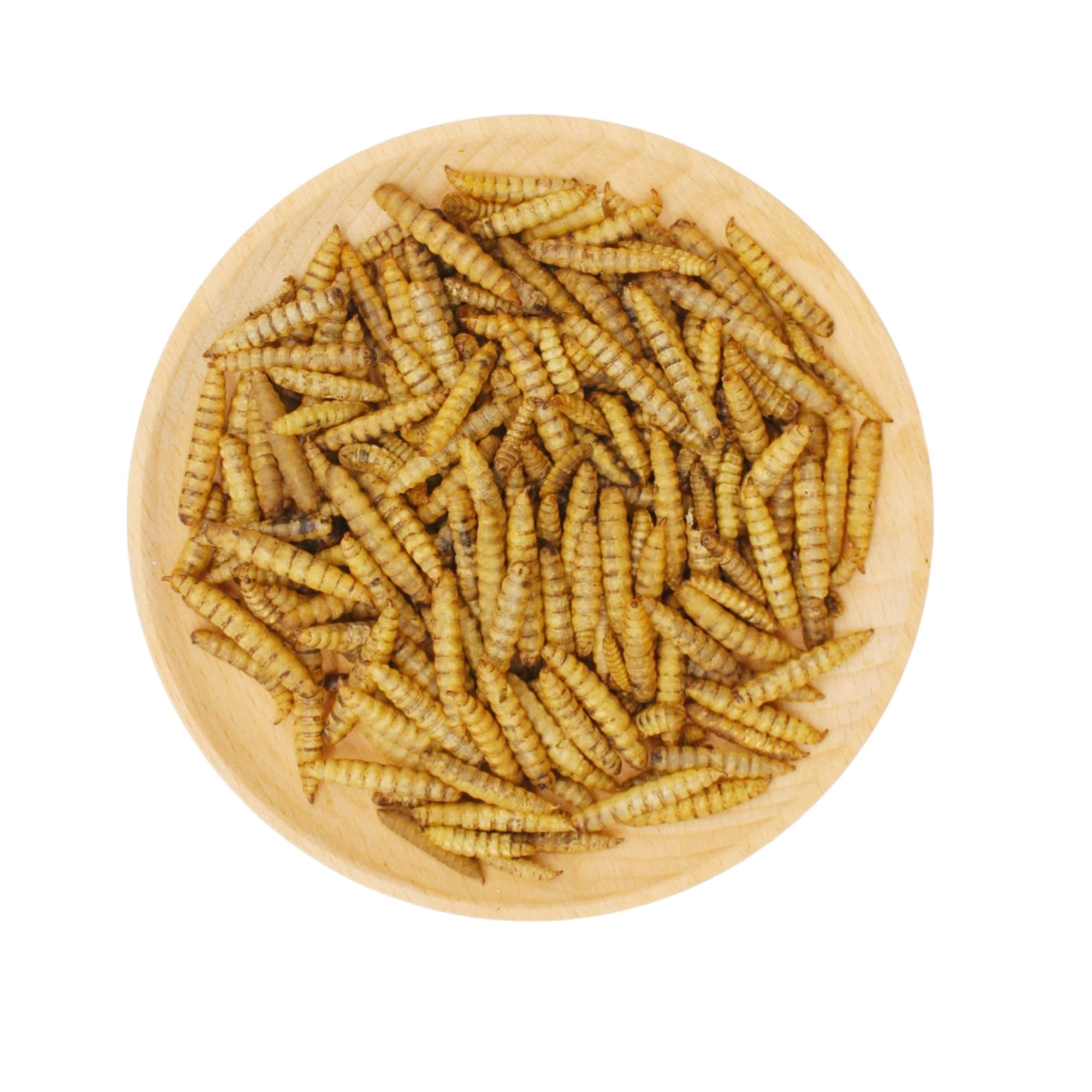 GRUBSFARM Dried Black Soldier Fly Larvae product dimensions