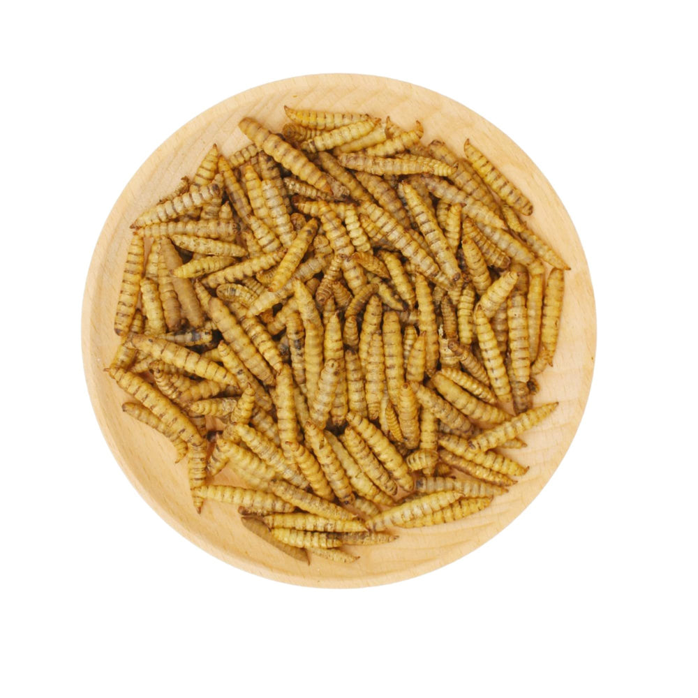 GRUBSFARM Dried Black Soldier Fly Larvae product dimensions