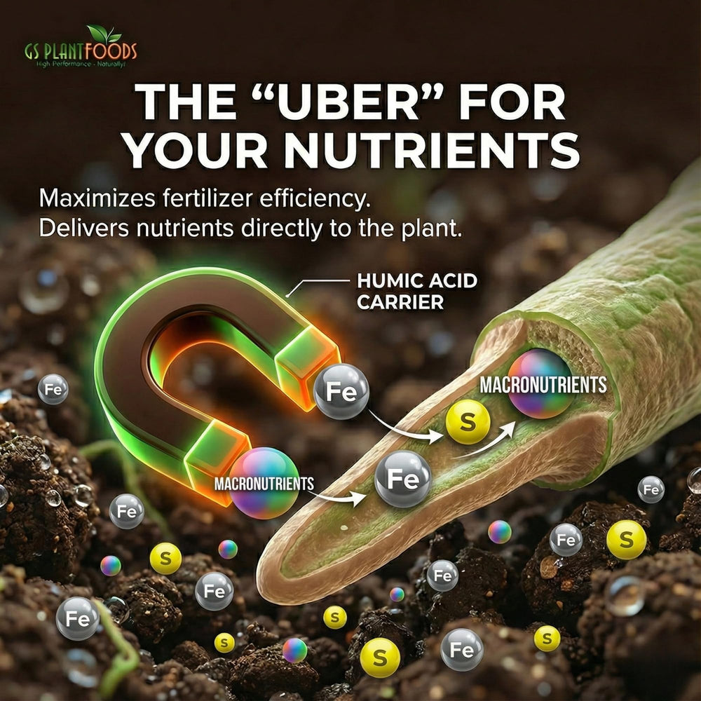 GS Plant Foods Humic Acid Soil Amendment mixed with soil