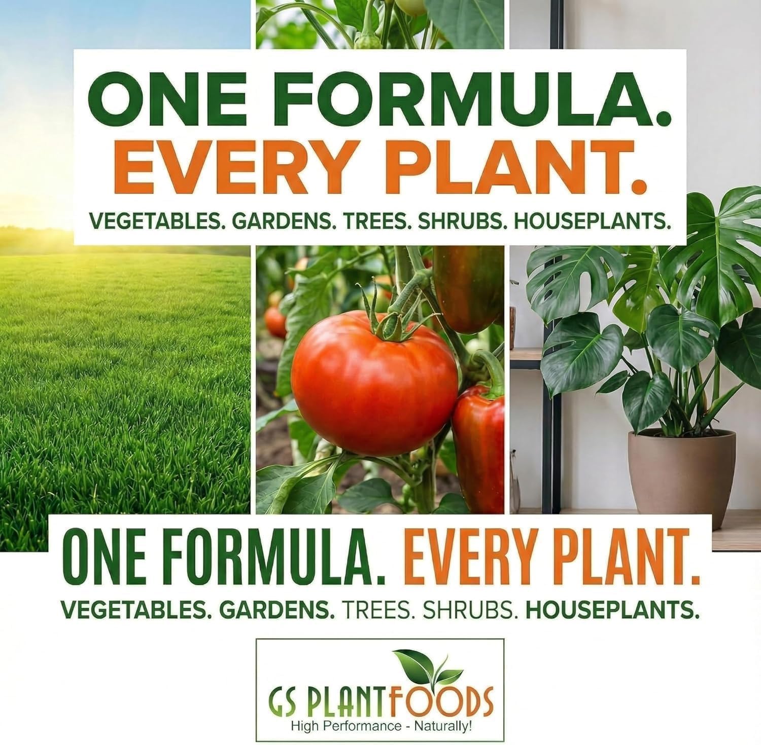 GS Plant Foods Liquid Kelp Fertilizer 1 Quart with measuring cup