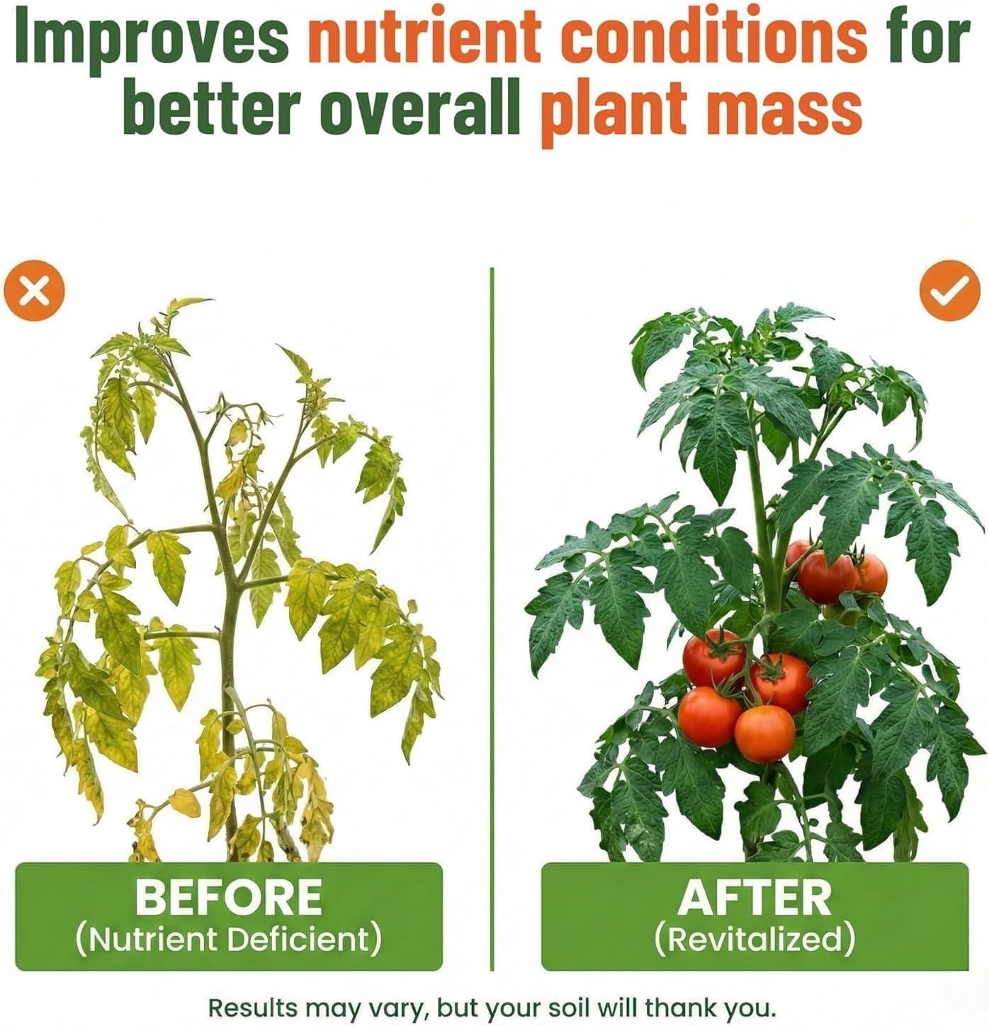 GS Plant Foods Liquid Kelp Fertilizer applied to garden