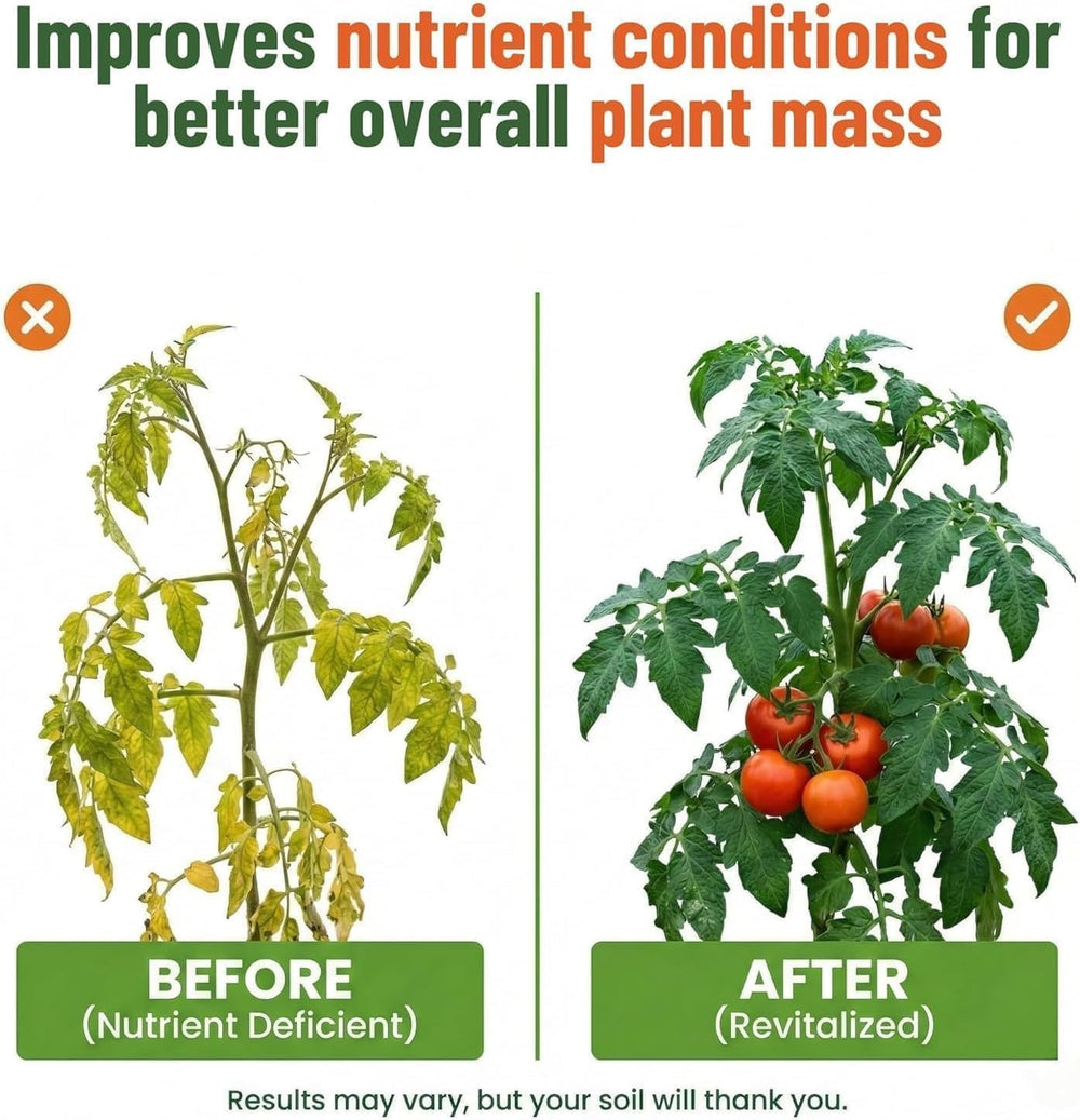 GS Plant Foods Liquid Kelp Fertilizer applied to garden