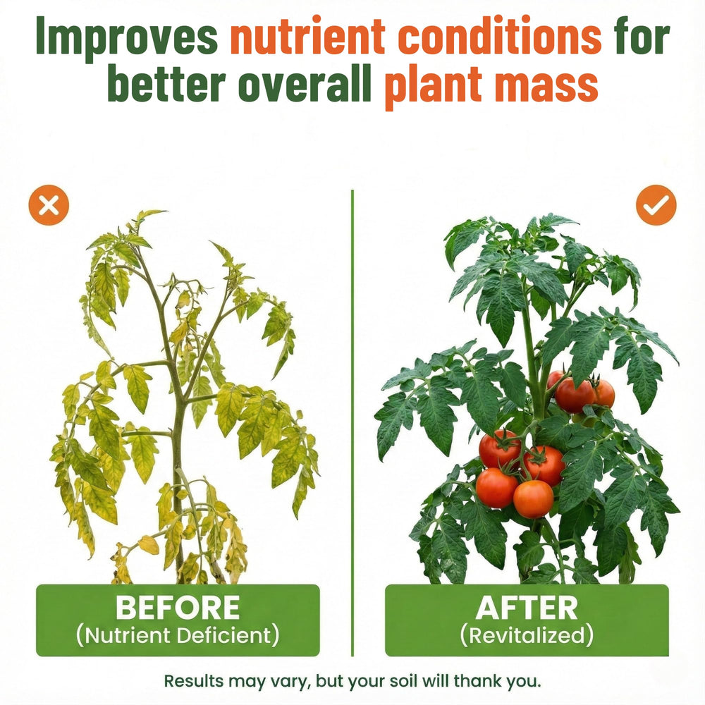 GS Plant Foods Liquid Kelp Fertilizer displayed in a garden setting