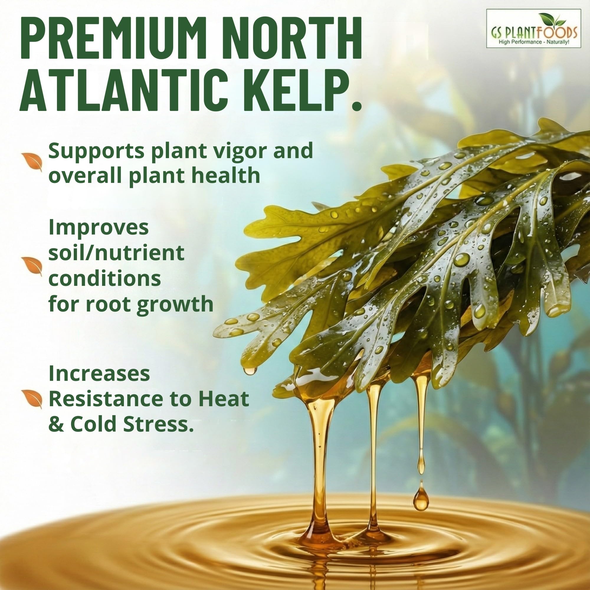 GS Plant Foods Liquid Kelp Fertilizer pouring into a watering can