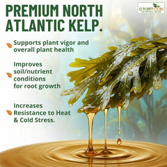GS Plant Foods Liquid Kelp Fertilizer pouring into a watering can