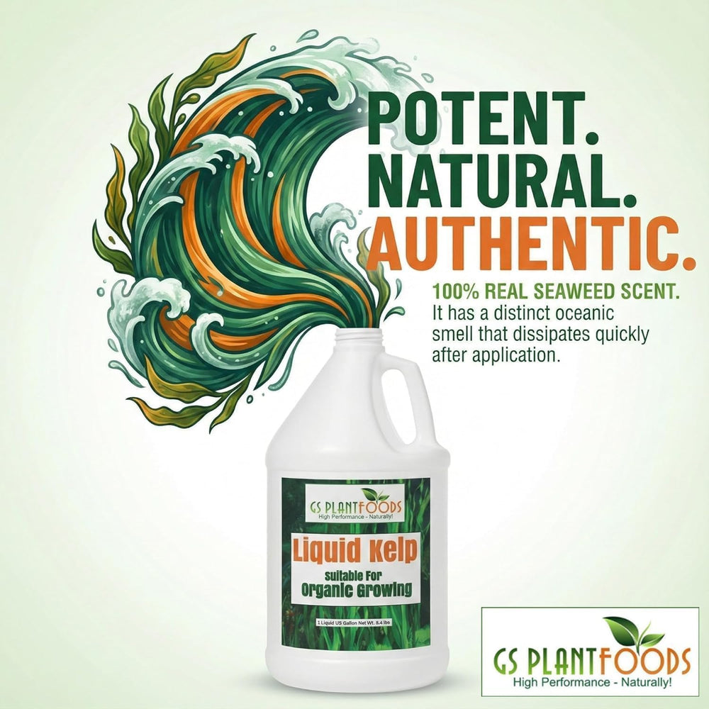 GS Plant Foods Liquid Kelp Fertilizer with plants in background