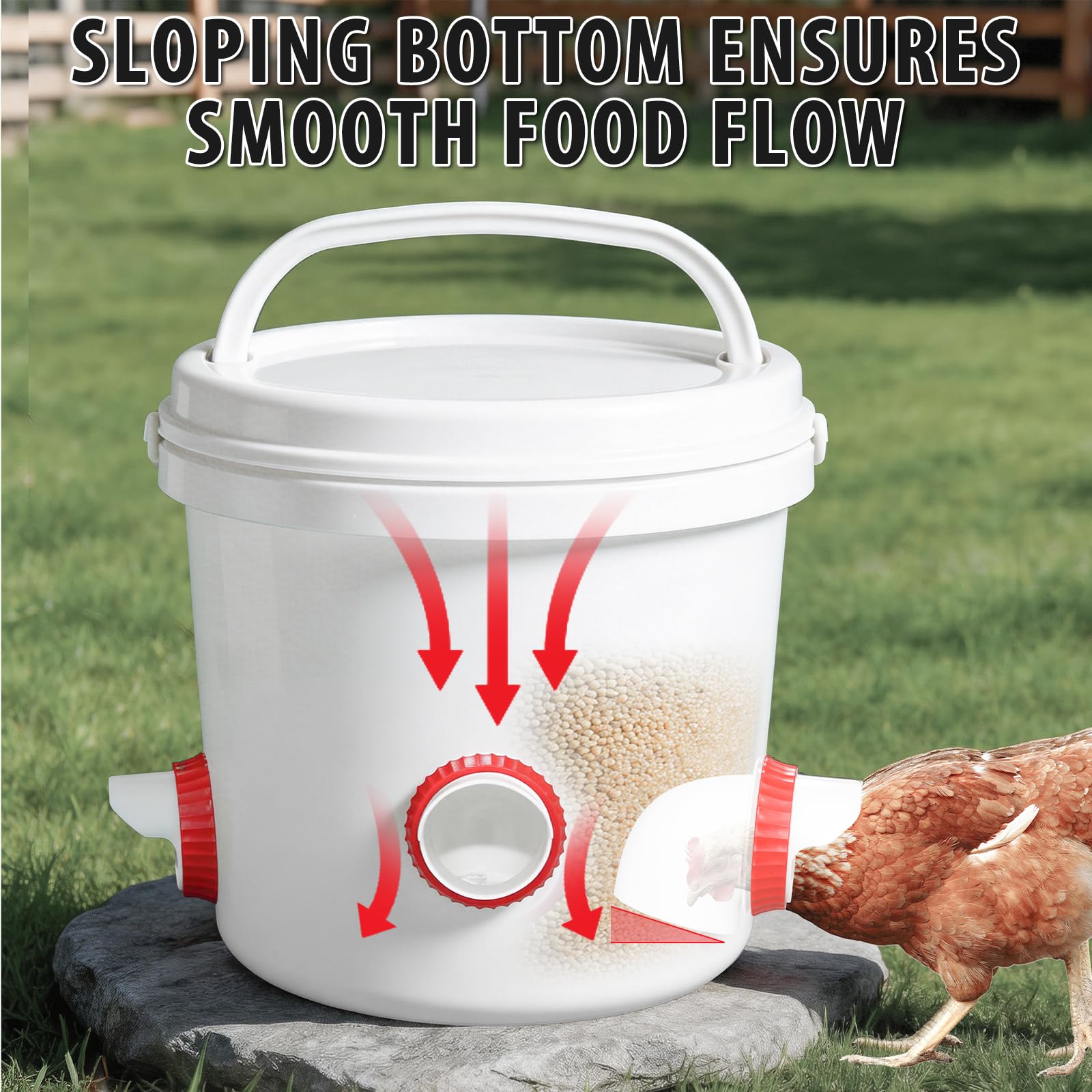GSHWXD automatic chicken feeder ports in a container