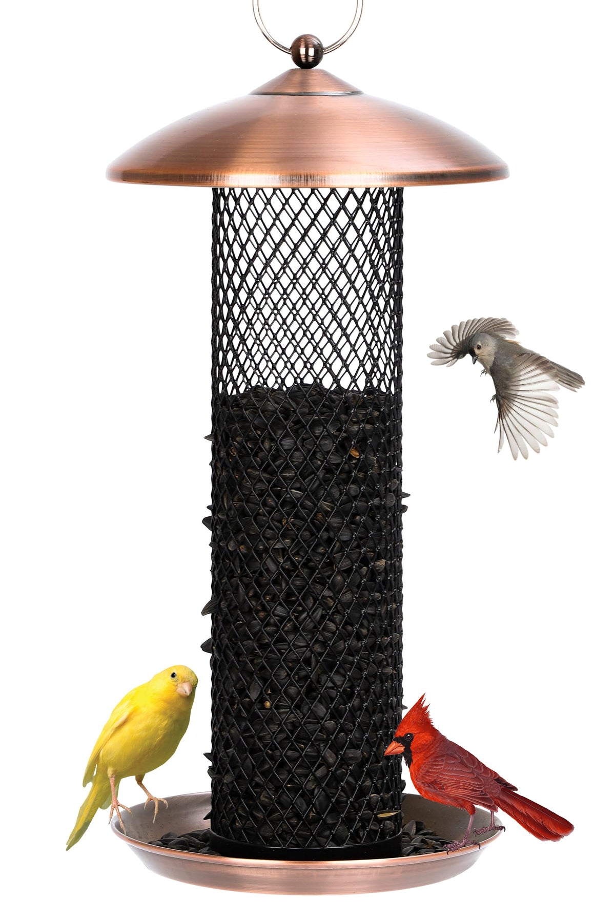 Gtongoko Bird Feeder front view showing copper finish