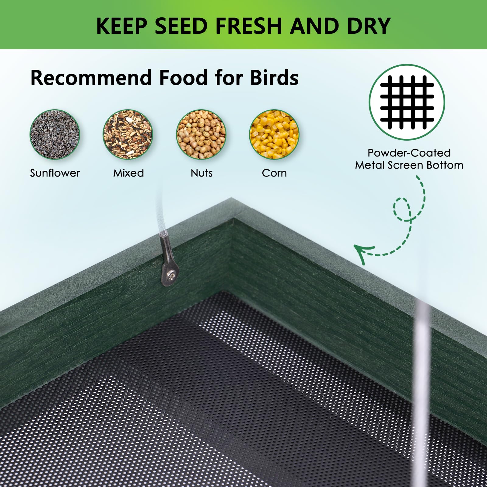 Gtongoko Bird Feeder with various birds feeding