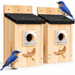 Gtongoko birdhouse front view with entrance and predator guard