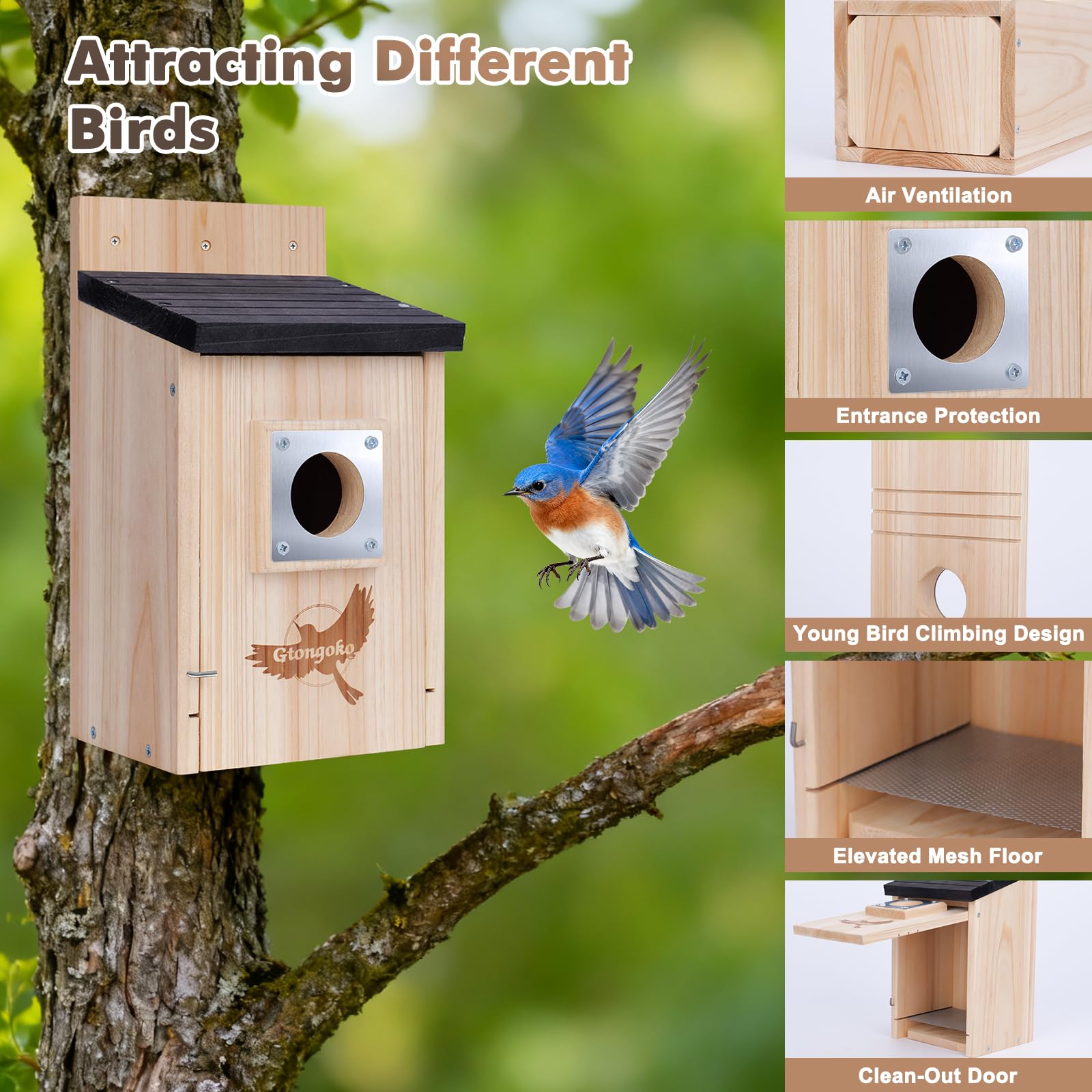 Gtongoko birdhouse interior with ventilation holes and mesh