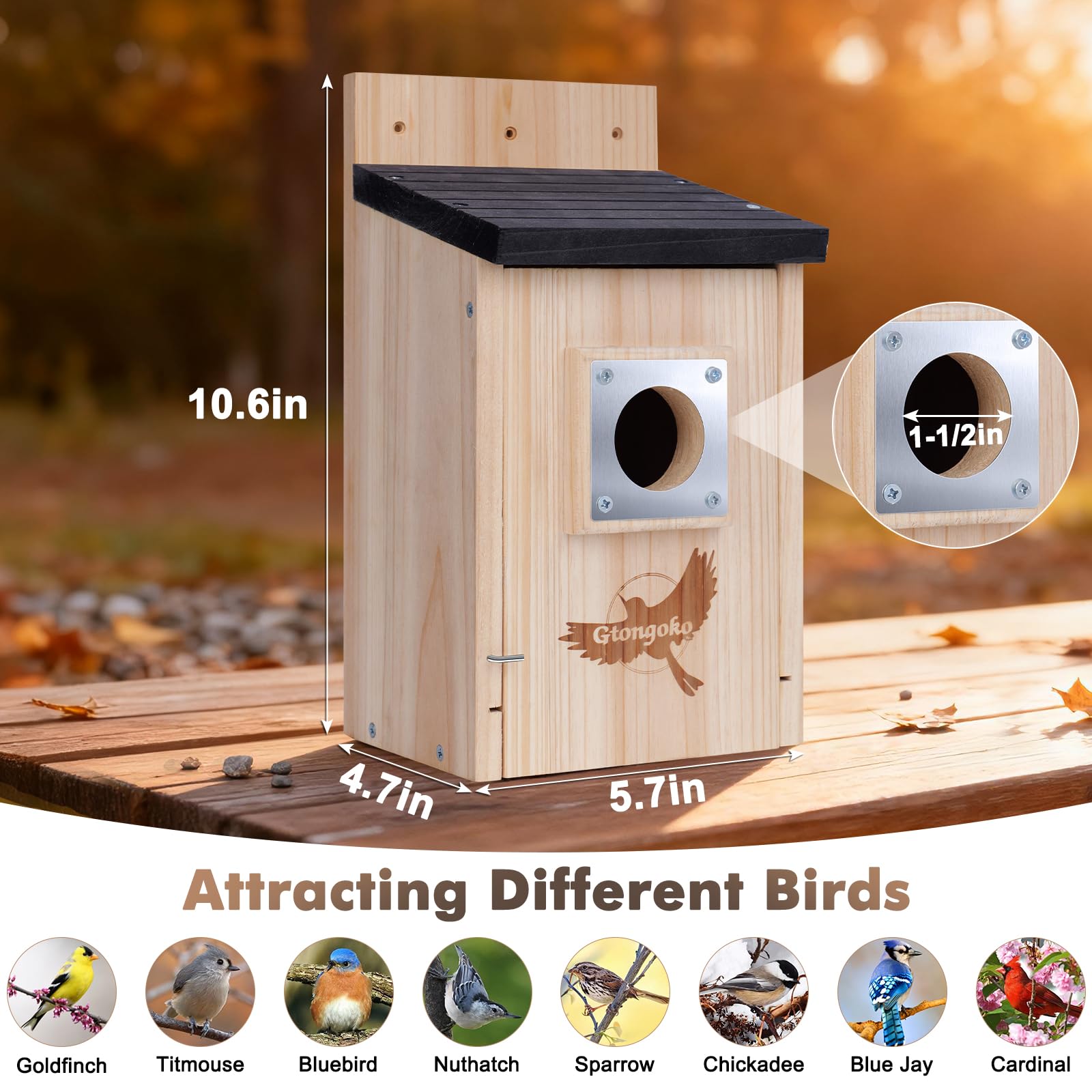 Gtongoko birdhouse side view showing natural wood finish