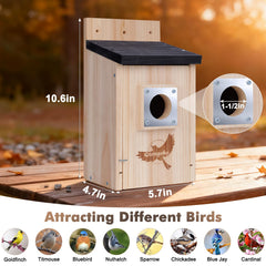 Gtongoko birdhouse side view showing natural wood finish