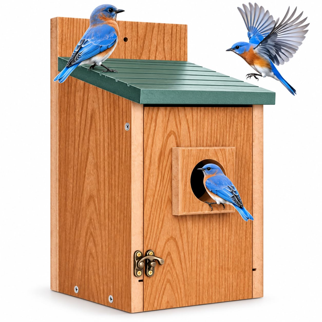 Gtongoko Bluebird House green model front view with 1.5-inch entrance