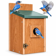 Gtongoko Bluebird House green model front view with 1.5-inch entrance