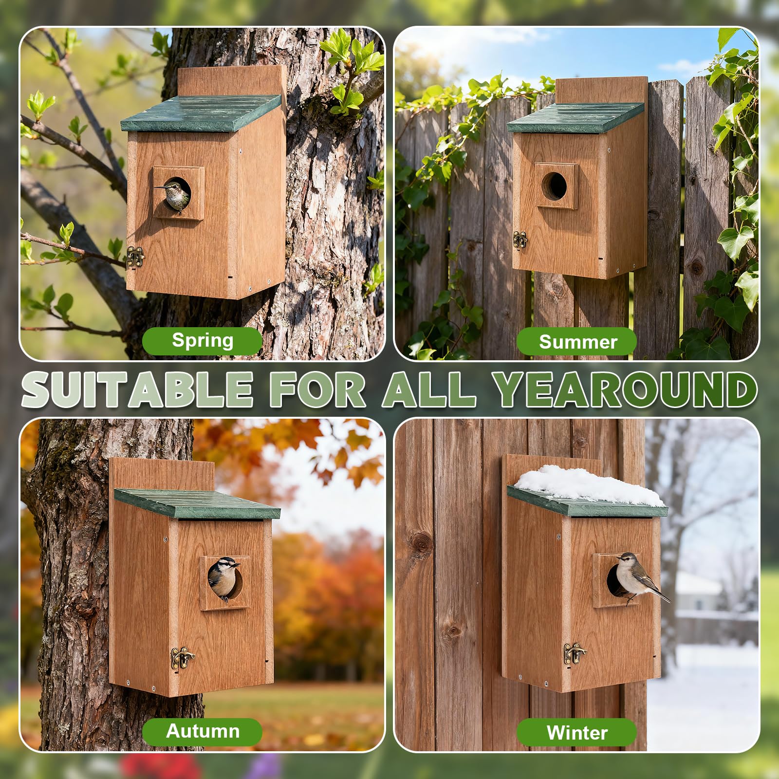 Gtongoko Bluebird House mounted on a tree