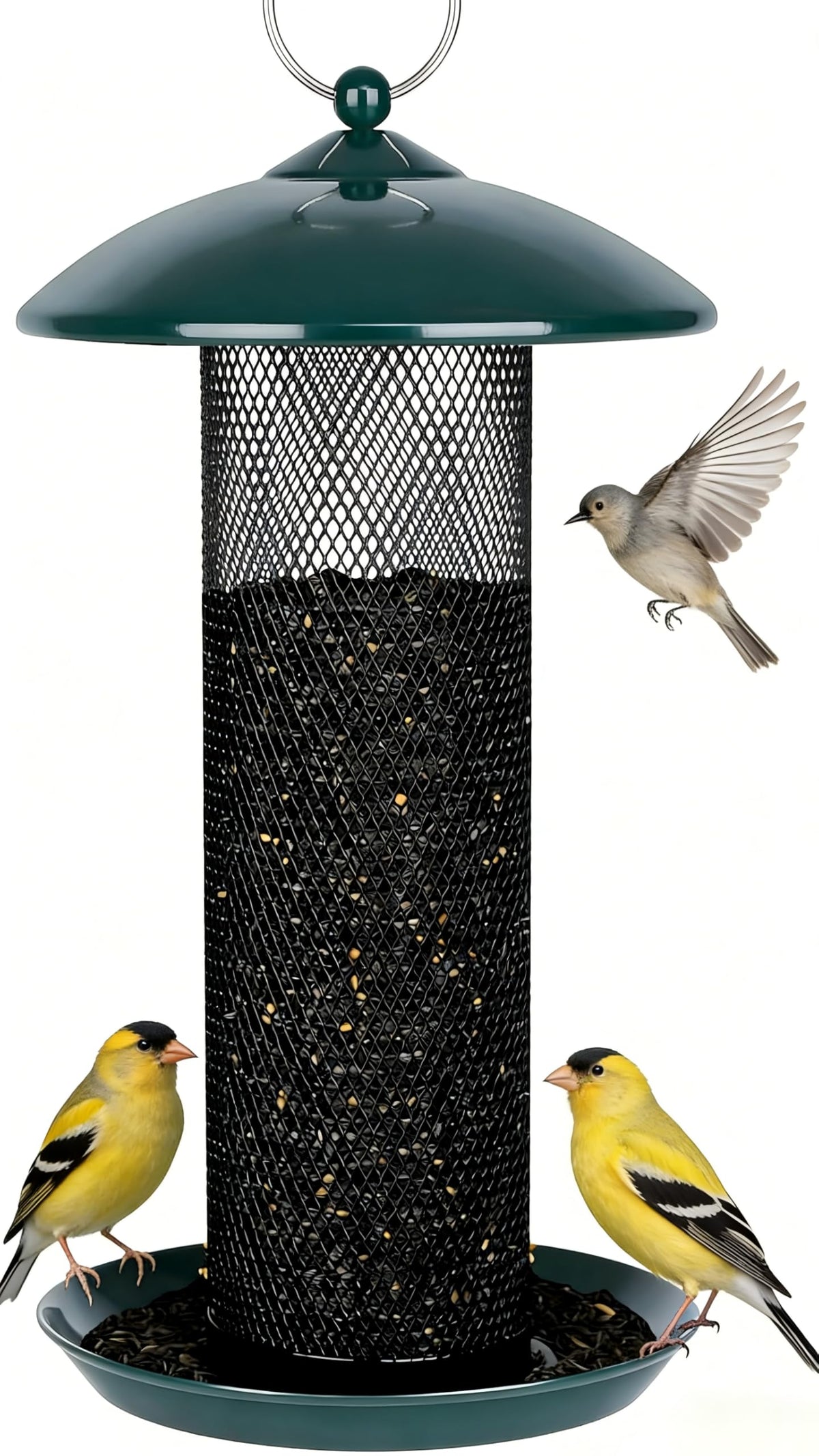 Gtongoko Finch Feeder green model front view with mesh design