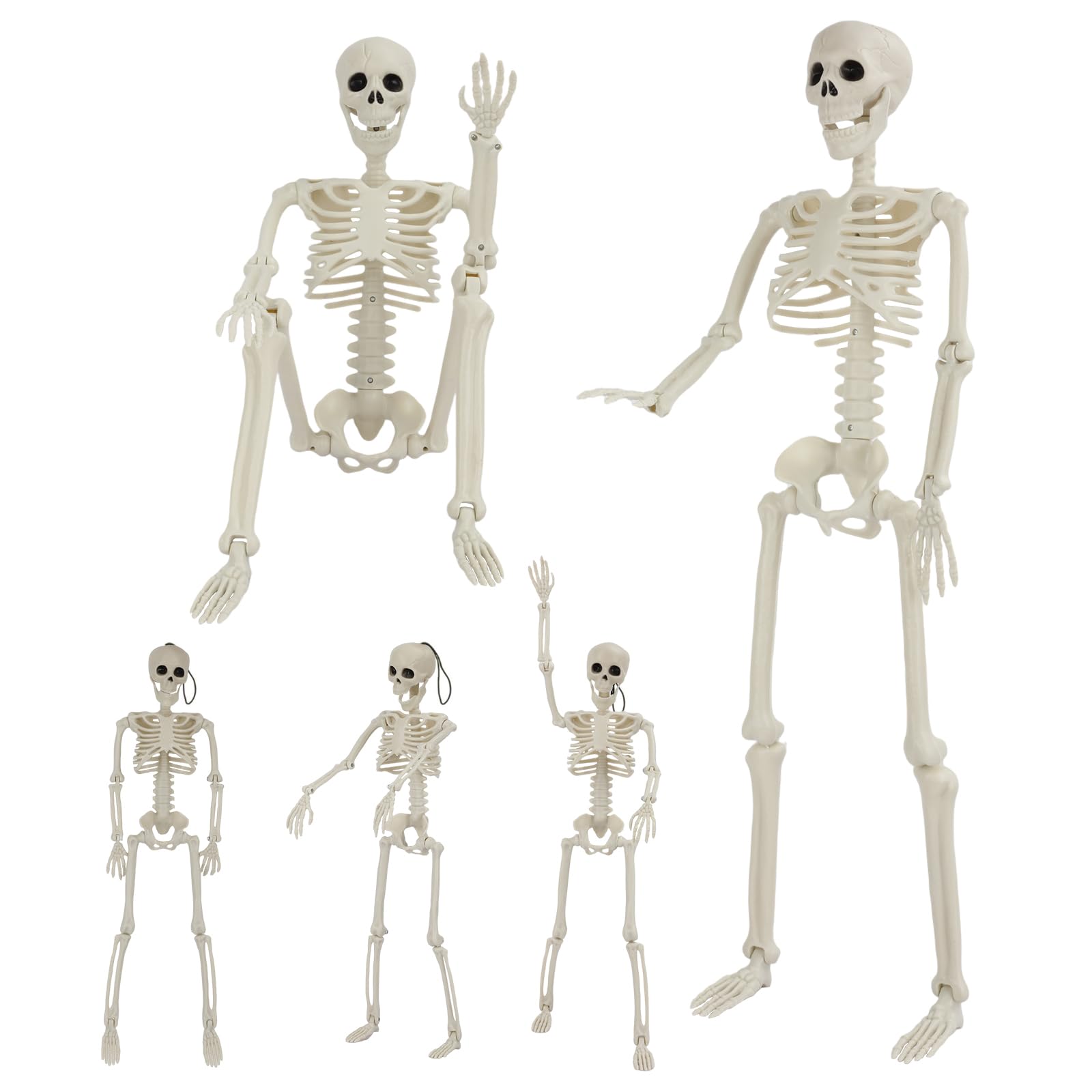 GTYZZH 36 inch skeleton with adjustable joints, front view