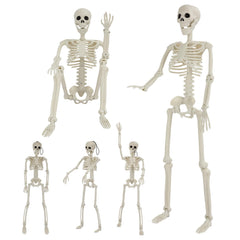 GTYZZH 36 inch skeleton with adjustable joints, front view