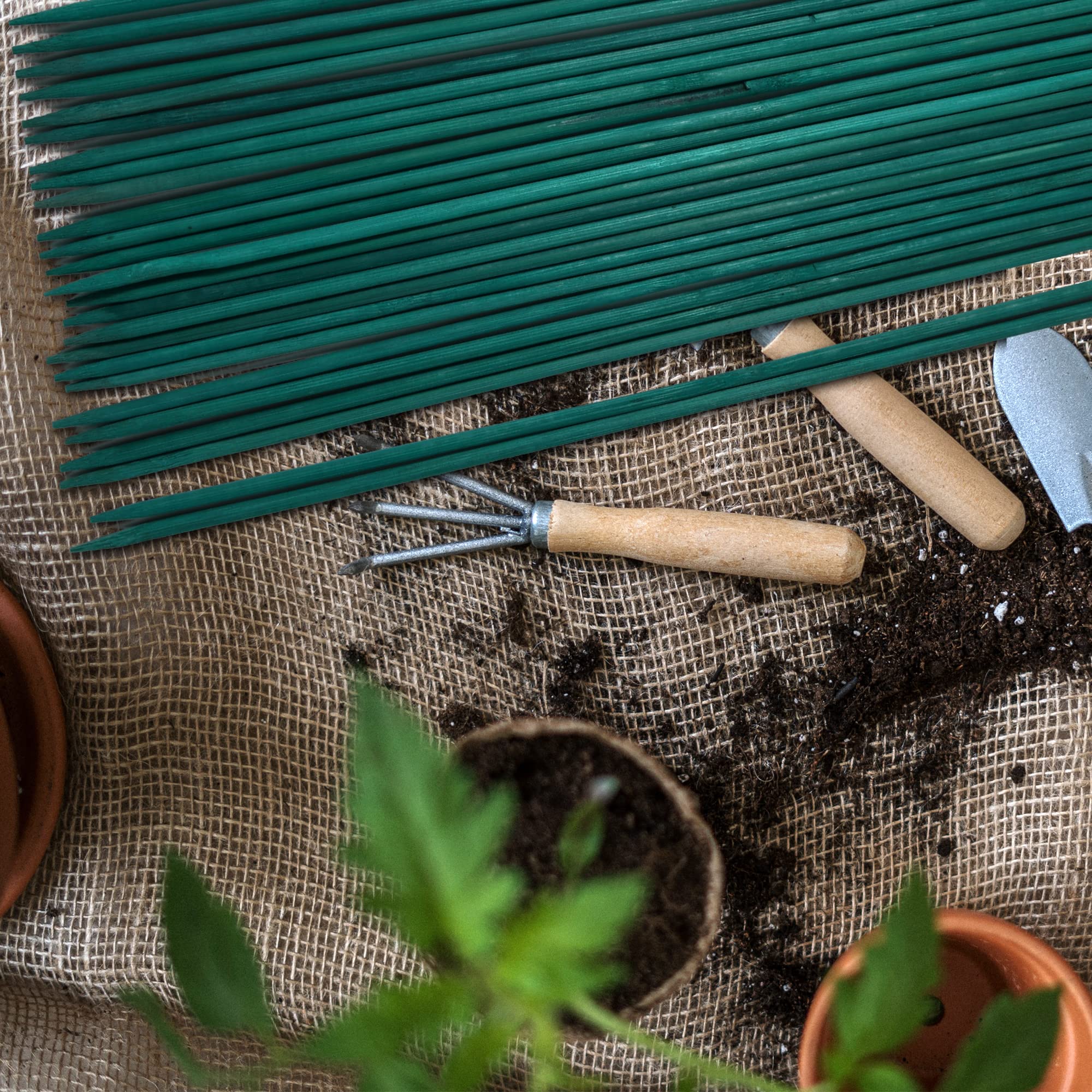 Guatbsecure plant stakes alongside various potted plants