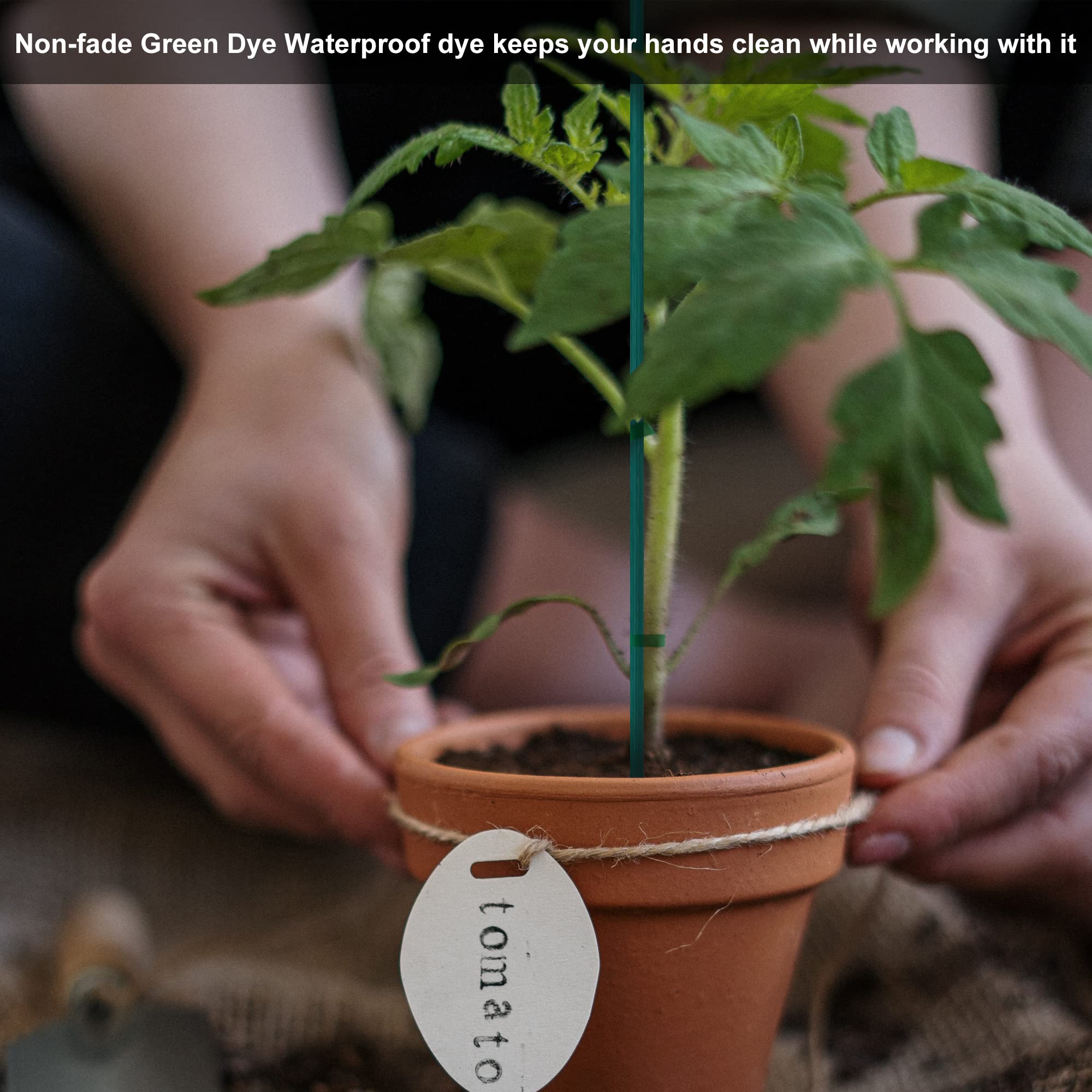 Guatbsecure plant stakes in a potted plant arrangement