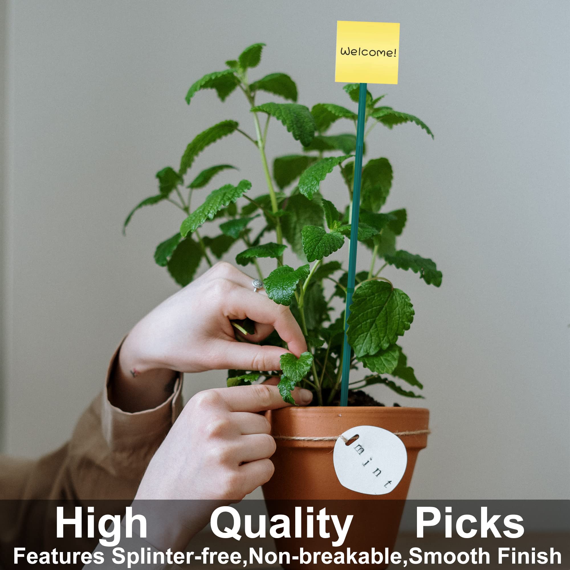 Guatbsecure wood plant stake with green tie securing plant