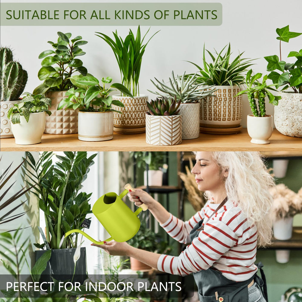 GUKJOB stainless steel watering can on a table with houseplants