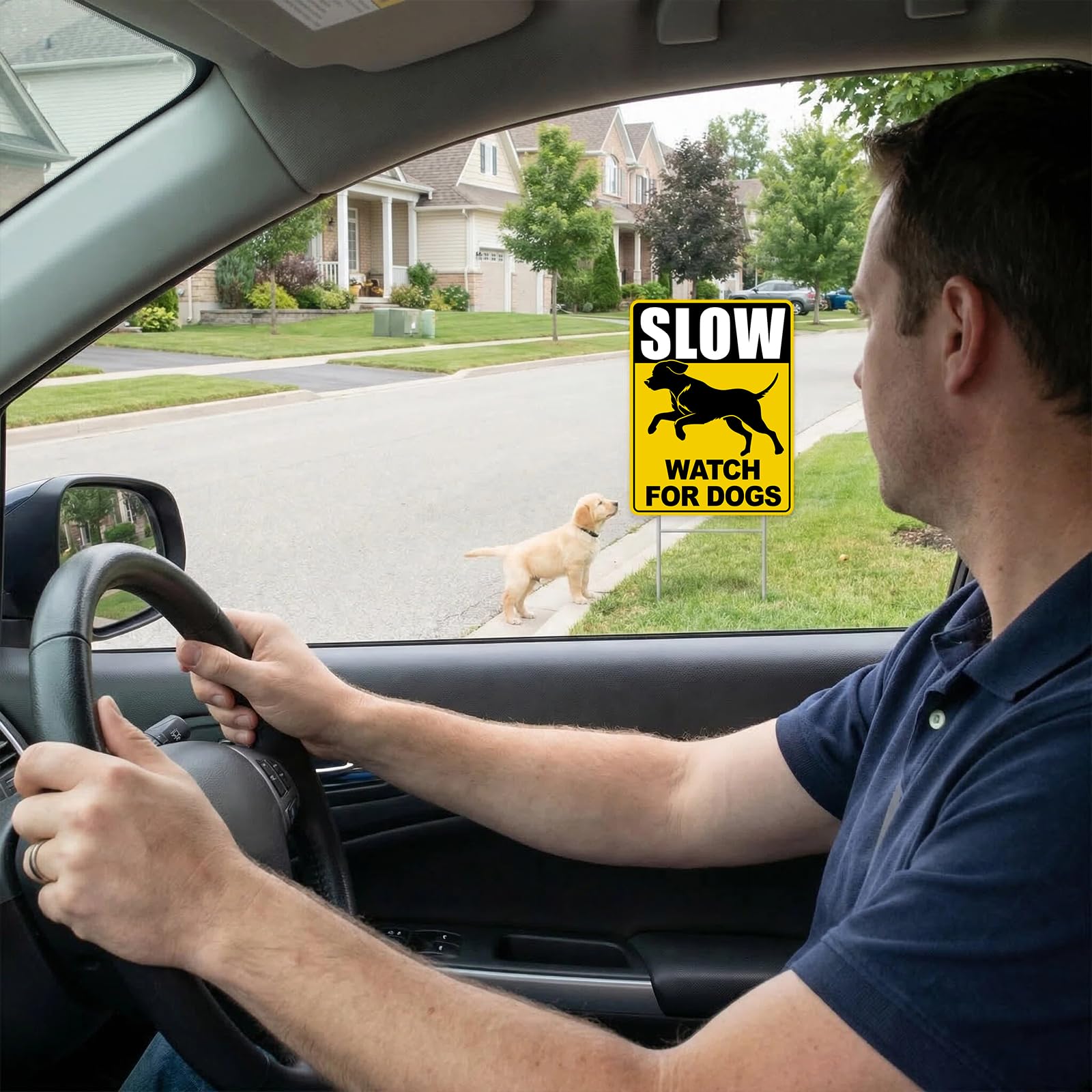 GXGGUS Slow Watch for Dogs sign in a neighborhood