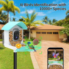 Gyozol Bird Feeder mounted on a tree