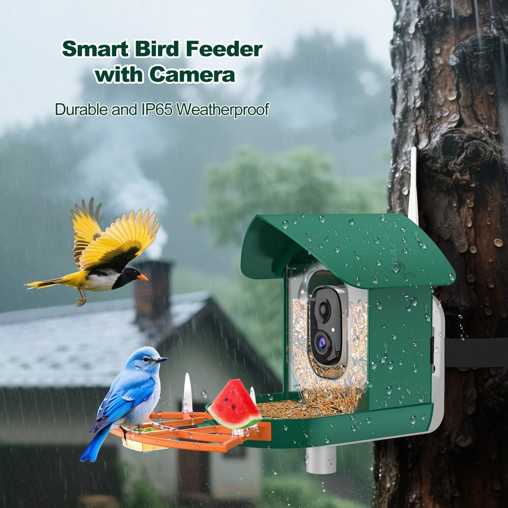 Gyozol Bird Feeder with app notifications on a smartphone