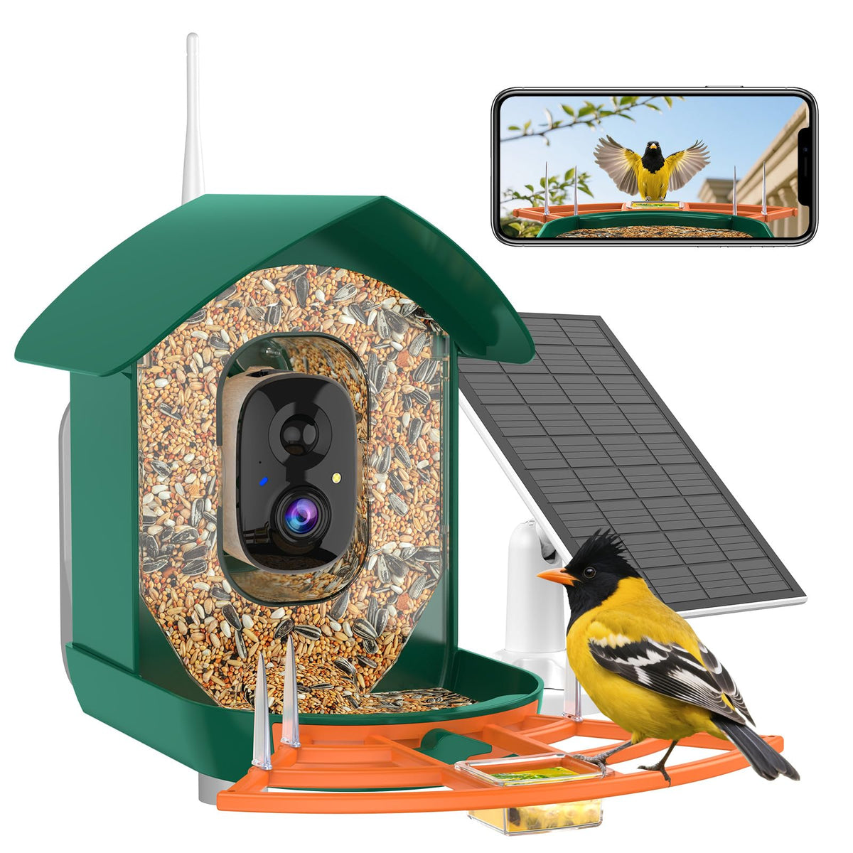 Gyozol Bird Feeder with Camera dark green model front view