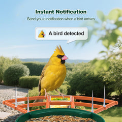 Gyozol Bird Feeder with camera installed on a tree