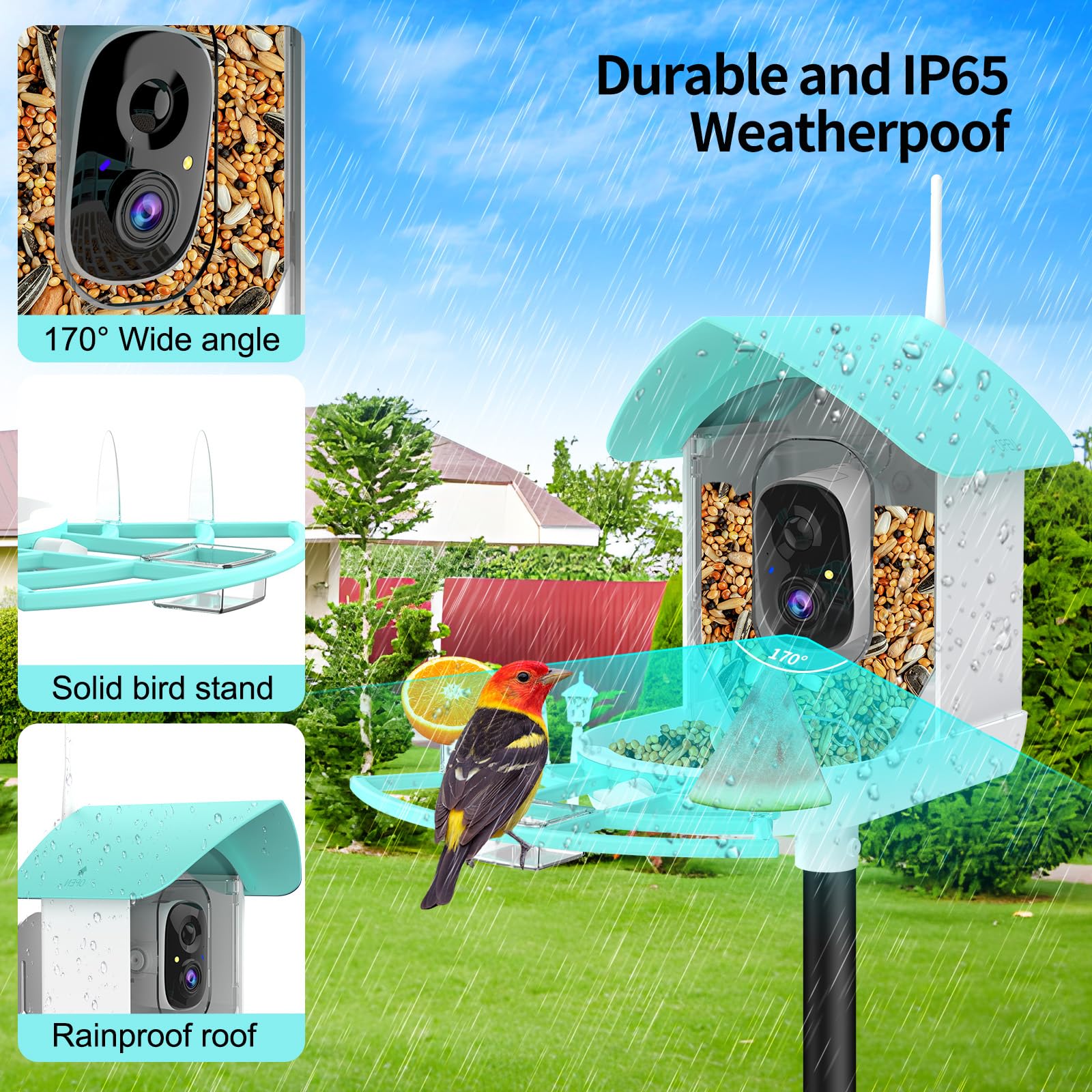 Gyozol Bird Feeder with mounting kit included