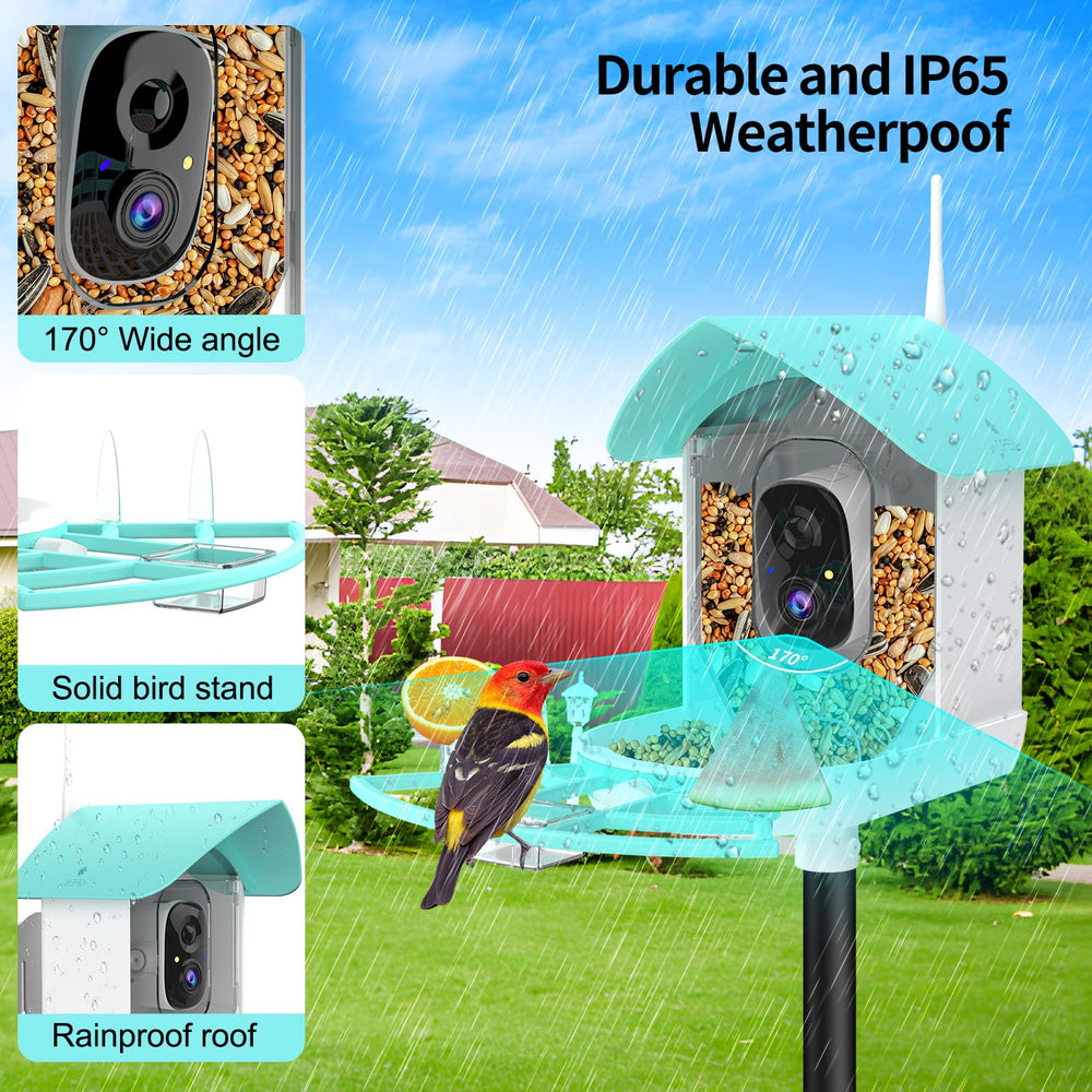 Gyozol Bird Feeder with mounting kit included