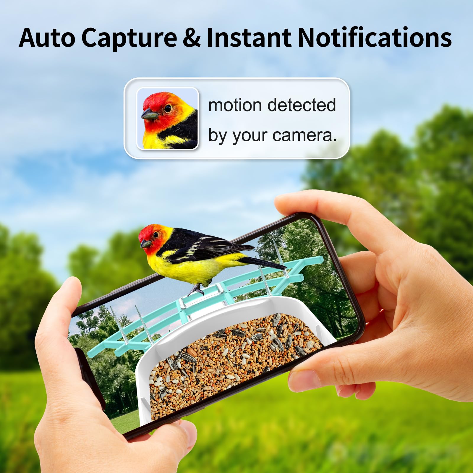 Gyozol Bird Feeder with phone showing bird activity notification
