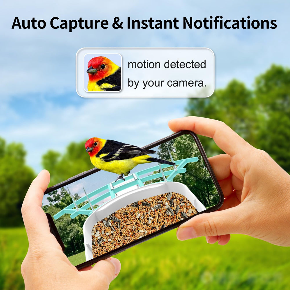 Gyozol Bird Feeder with phone showing bird activity notification