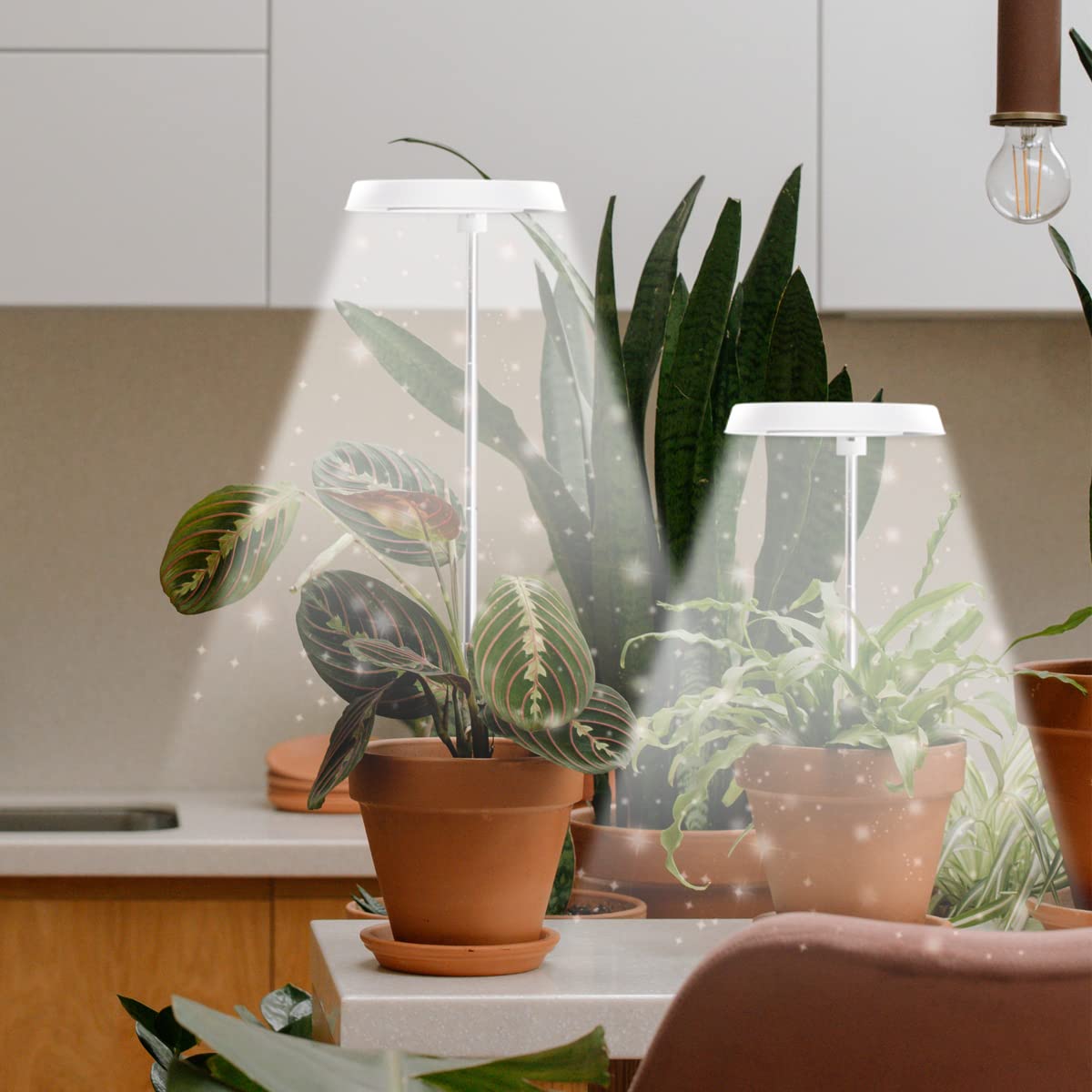 GYTF Halo Plant Grow Light installed in a plant pot