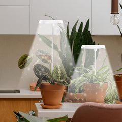 GYTF Halo Plant Grow Light installed in a plant pot