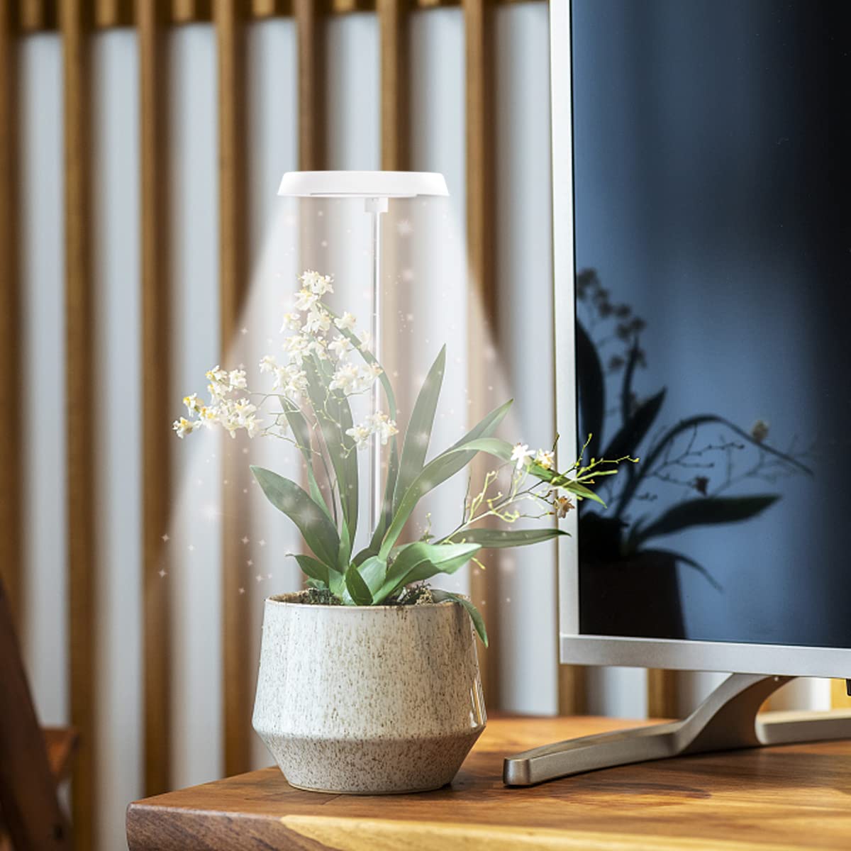 GYTF Halo Plant Grow Light placed on a shelf with various plants
